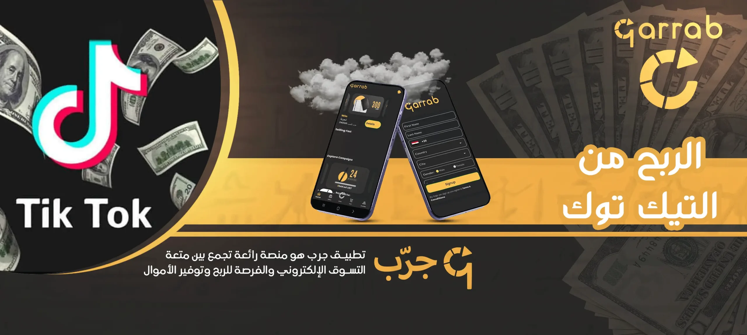 الربح من التيك توك